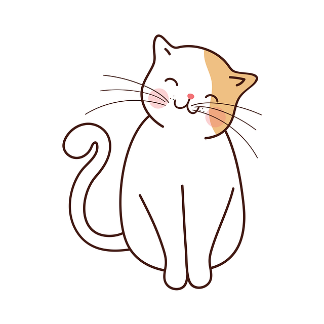 Test Post X  – Cat: I’m curious