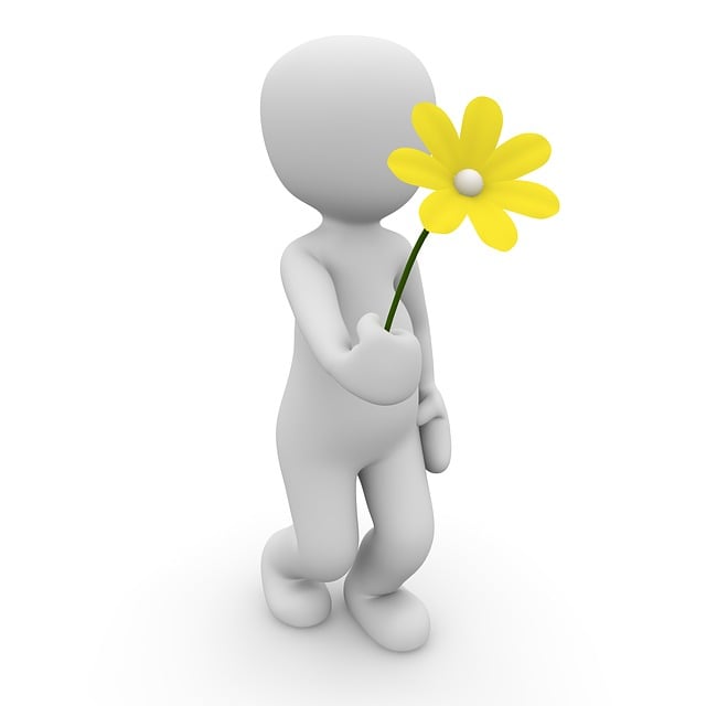 Test post – uncategoried (wild daisies)